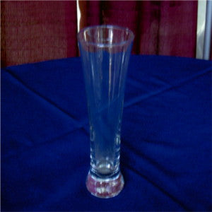 Pilsner Glass